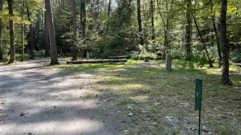 20/30/50 AMP Forest RV Site — image 2 of 13