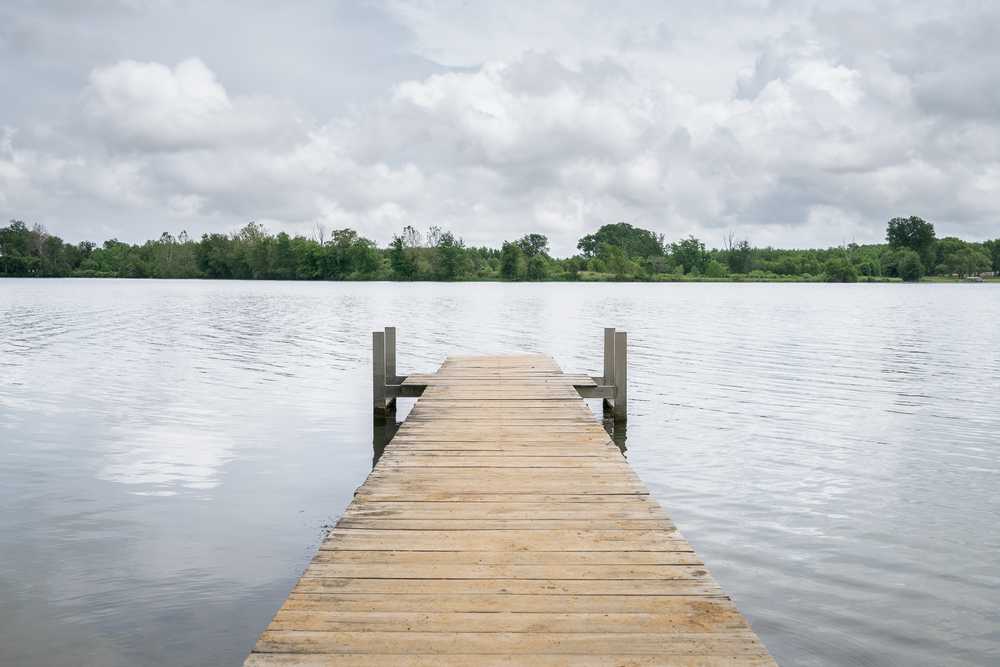 Hoffman Lake Campground - Photo 5