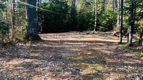 WOODED SITE 14 — image 4 of 4