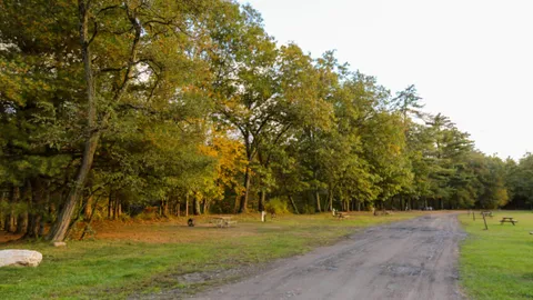 Neversink Village: Water + Electric Tent Sites (Pop Ups Allowed) — image 1 of 1