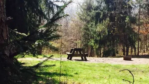 Primitive Tent — image 2 of 5