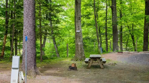 Deluxe RV Site — image 5 of 5