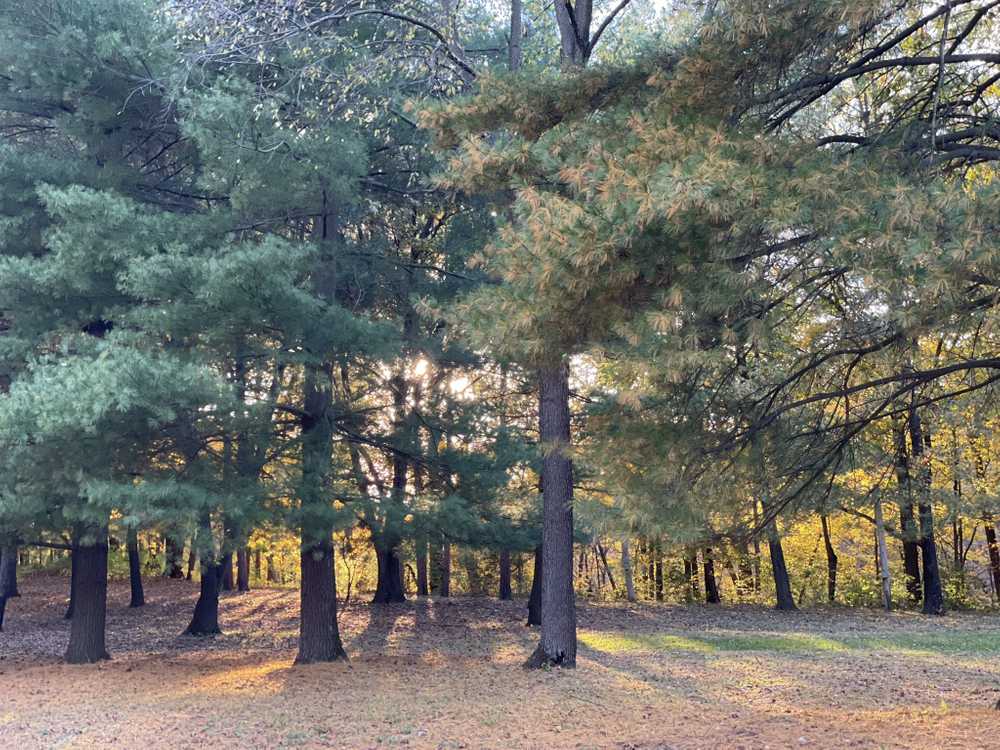 Park Image 14