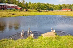 Sun Retreats Pleasant Acres Farm – photo 3