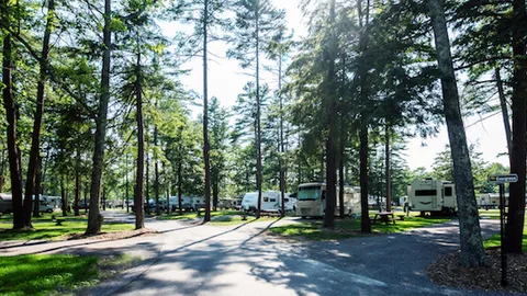 Black Forest — image 1 of 2