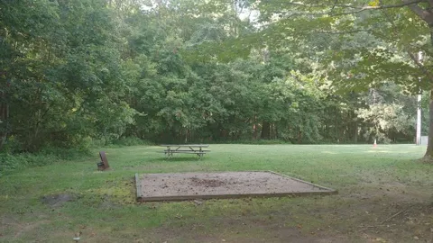Primitive Campsite — image 1 of 4