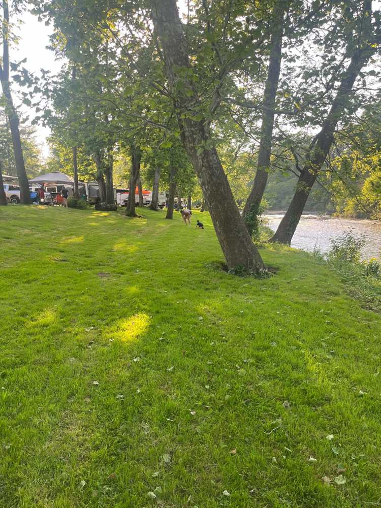Campground Island - Photo 3