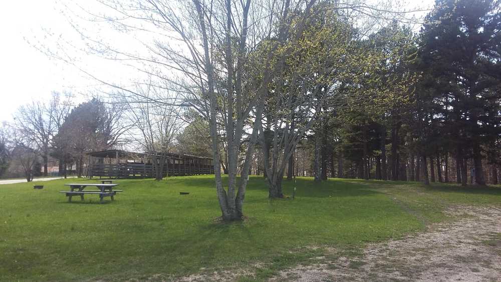 Whispering Pines Campground, Jadwin, Missouri - Photo 4