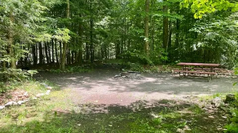 Tent Site on the River - Large — image 10 of 10
