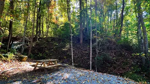 Mountainside Primitive Campsite — image 1 of 7