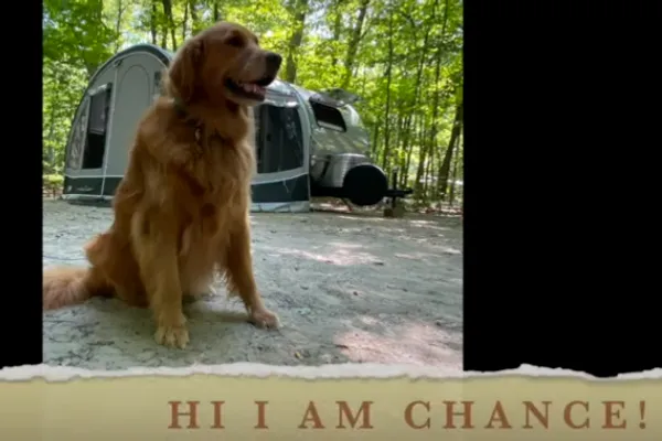 Chance the Camping Dog
