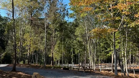 Full Hookup Pull-Through RV Site — image 1 of 4