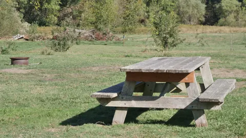 Tent Site — image 2 of 2