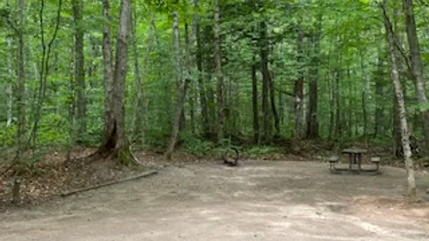 Tent- Electricity, Wooded — image 1 of 2