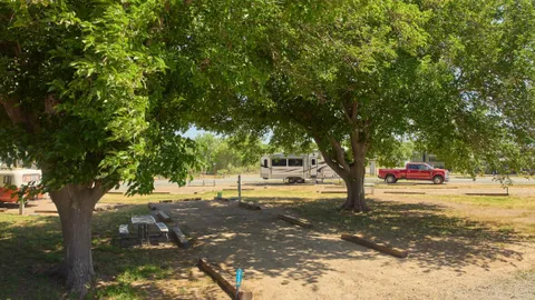 Wooded Back-In Site — image 2 of 4