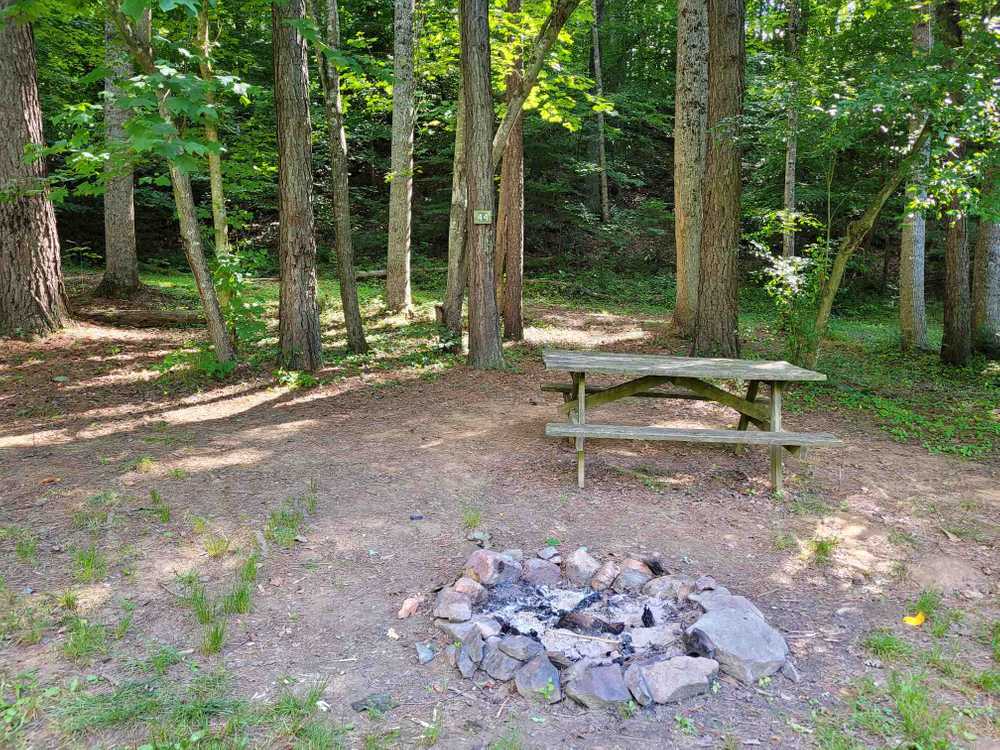 Large River Front Primitive Tent Site (up to 14 people)