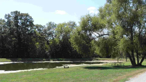Primitive Tent Site — image 4 of 4