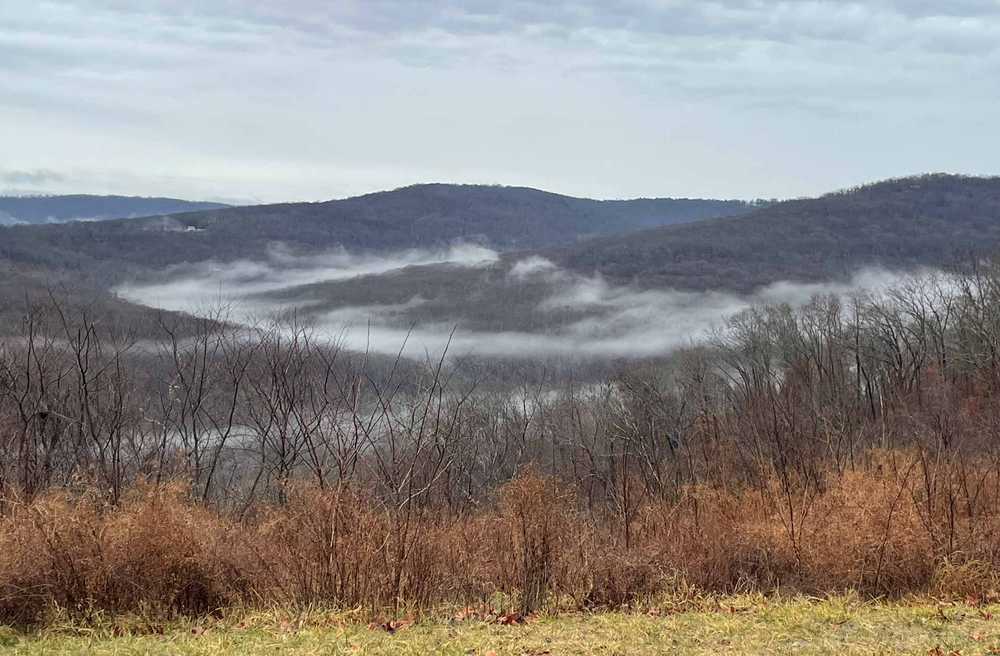 The Black Apple RV Retreat, Mountainburg, Arkansas - Photo 4