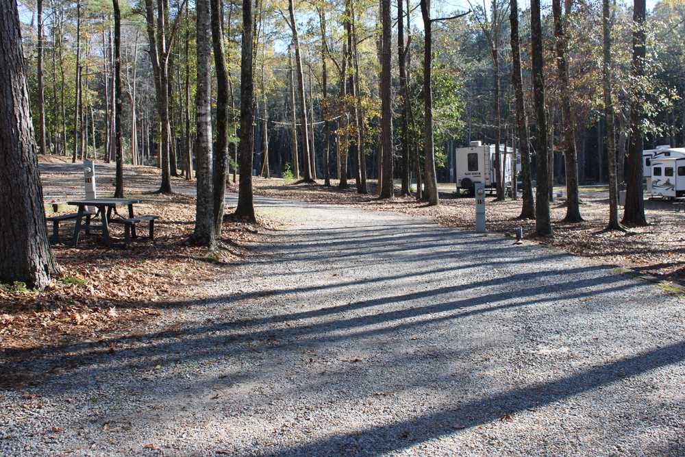 Park Image 14