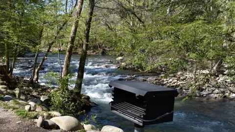 Super Premium On River Full Hookup RV Site — image 2 of 12