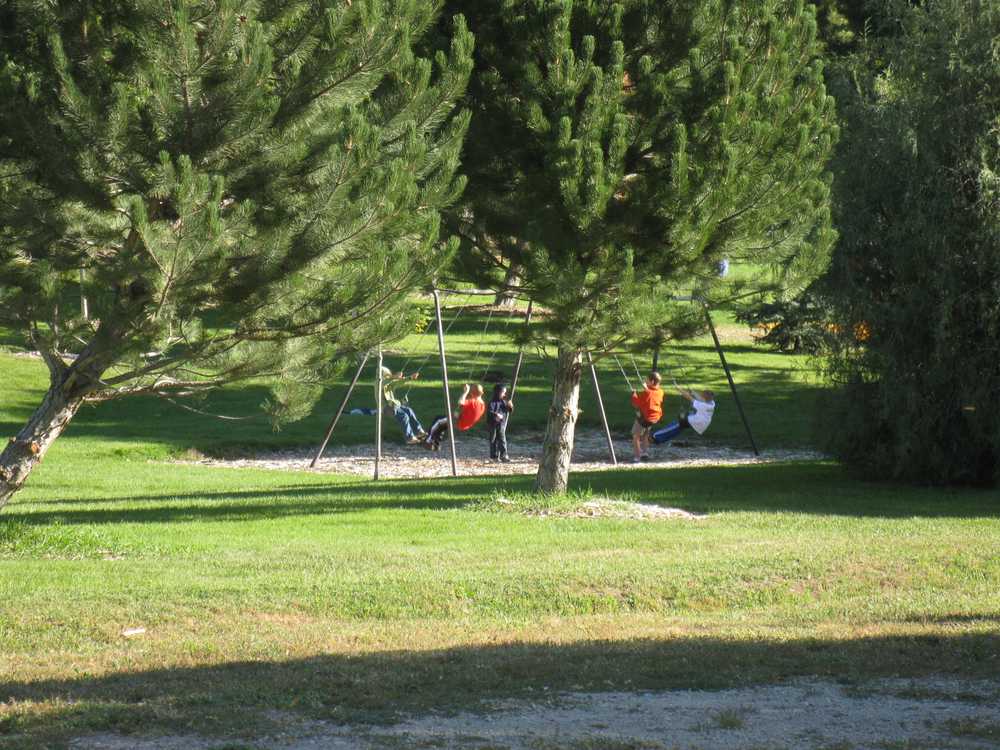 Jolley's Ranch Campground - Photo 4