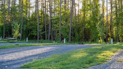 Deluxe Back-In RV/Tent Site — image 1 of 2