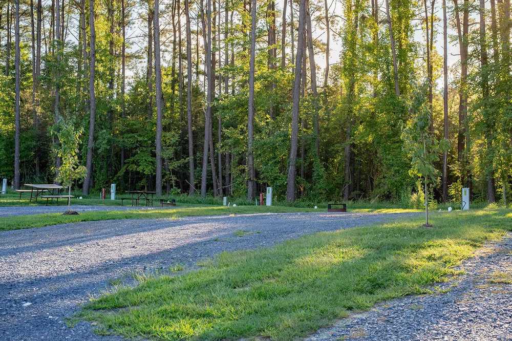 Premium Back-In RV Site