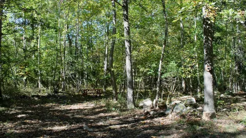 Dairy Lane — image 2 of 8