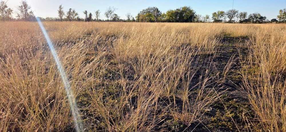 The Dogwood RV Park, Bleiblerville, Texas - Photo 5