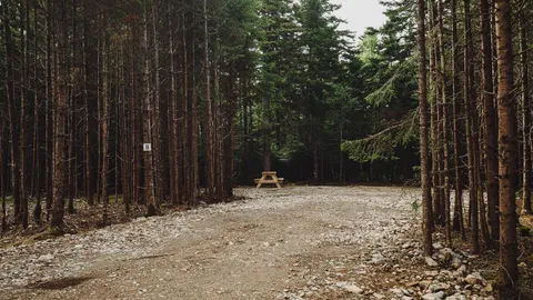 20 Amp 2 Way(Electric/Water - Shared) Site — image 1 of 5