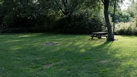 non-serviced lot — image 2 of 30