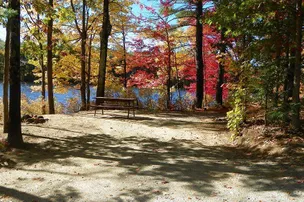 Keyser Pond Campground – photo 2