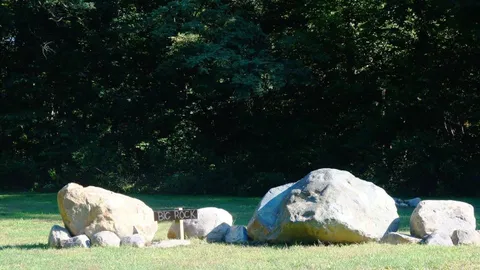 Primitive tent site - Non-Electric — image 4 of 4