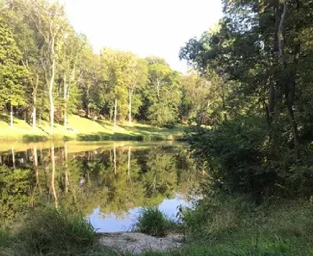 Hickory Hill Campground, Secor, Illinois - Photo 2