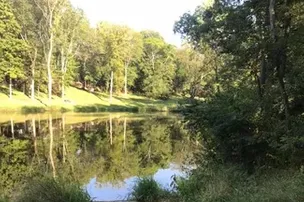 Hickory Hill Campground – photo 2