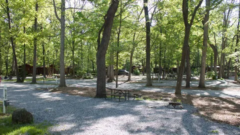 Woodland Premium Pull-Thru RV Site — image 2 of 6