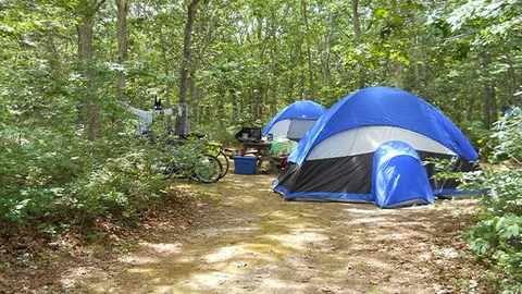 Prim Tent - North Truro — image 1 of 1