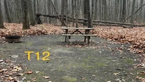 Tent — image 2 of 16