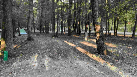 20 AMP Forest Tent / RV Site — image 1 of 10