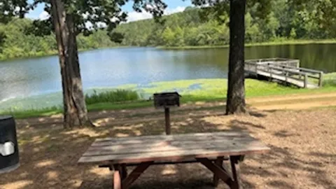 Primitive Camping — image 1 of 5
