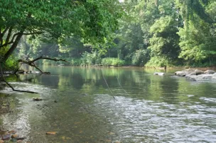 Smith River RV Park – photo 2