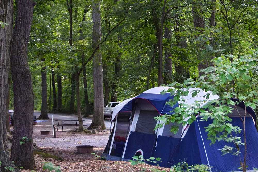 Primitive Tent Site