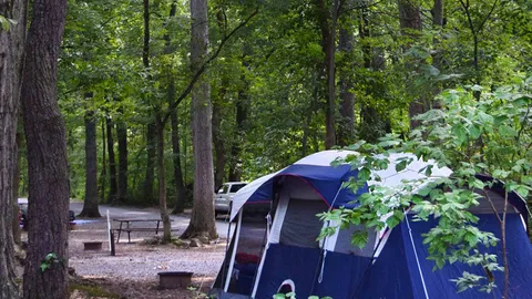 Primitive Tent Site — image 1 of 6