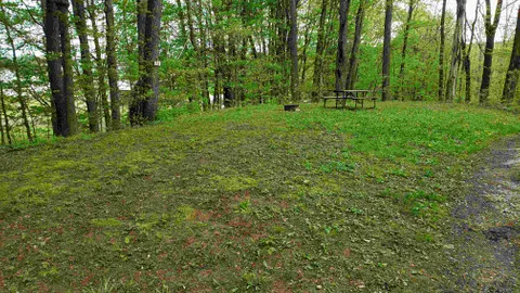 Rustic Tent Site/Dry Camping — image 2 of 3