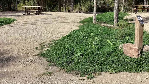 50 amp RV Site — image 4 of 4