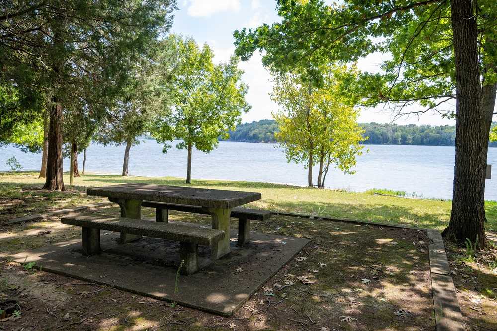 Park Image 8