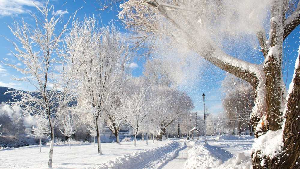 Grand Forks Municipal Campground