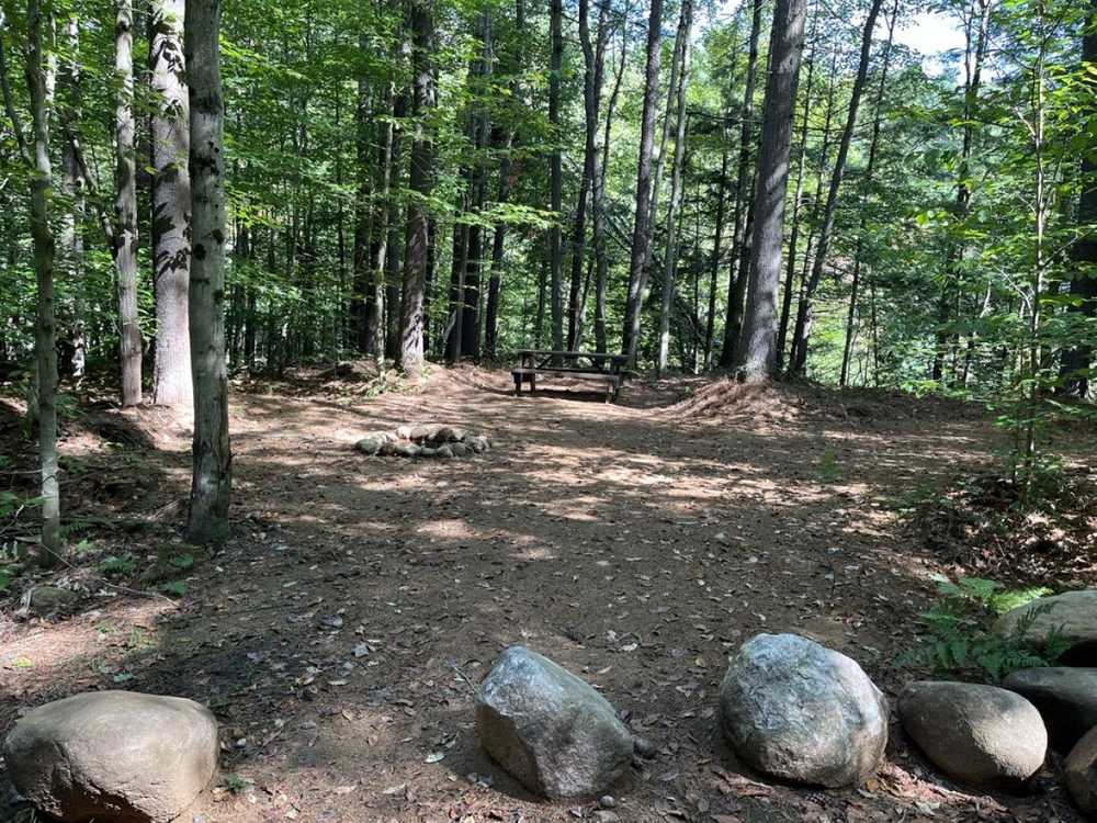 Park Image 5