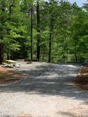 Hester's Bottoms Campground - Mt. Carmel, South Carolina - Campspot