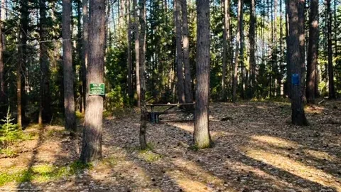 WOODED SITE 17 — image 1 of 4